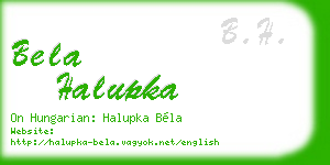 bela halupka business card